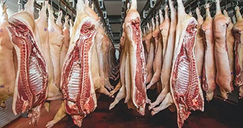 El consumo de carne de cerdo se acerca a los 21 kilos por habitante/año