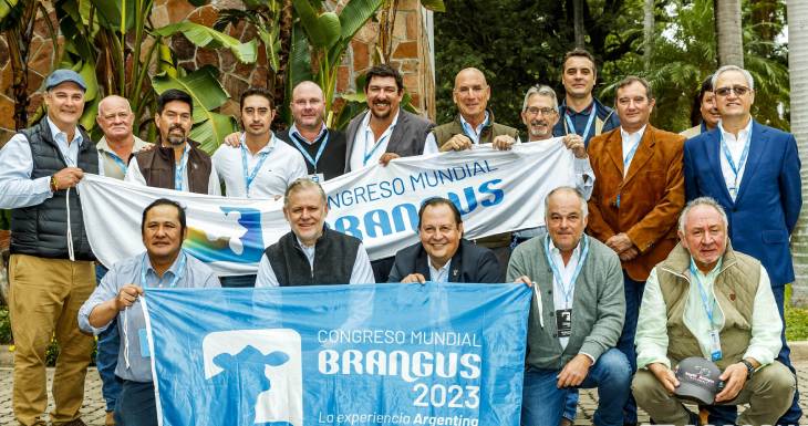 elogios-internacionales-para-el-brangus-argentino