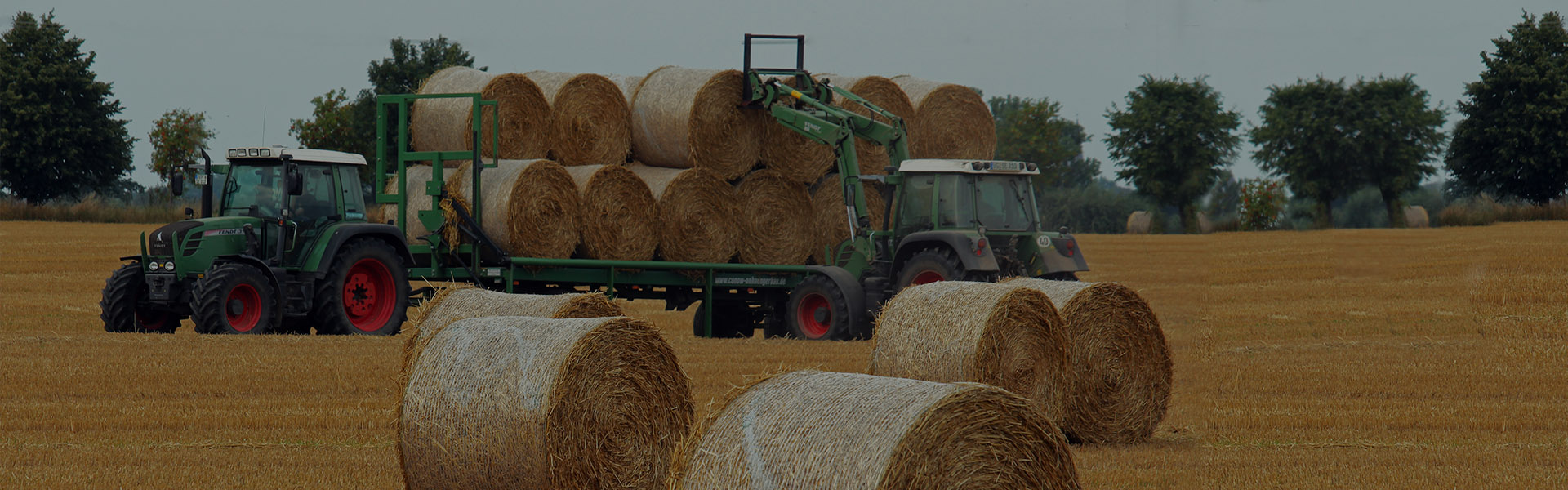 Tractor en Cultivo